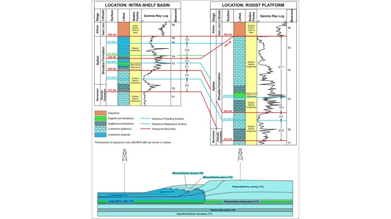 c87c2b12fb11d1f1d63538c510a3767f-1