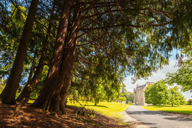 Crathes Castle Arrival-to-front-of-castle