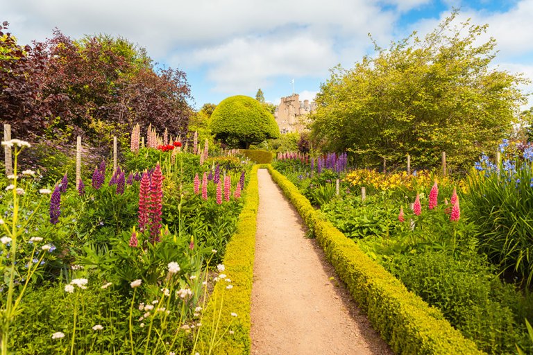 Crathes Castle-walled-garden_flower garden